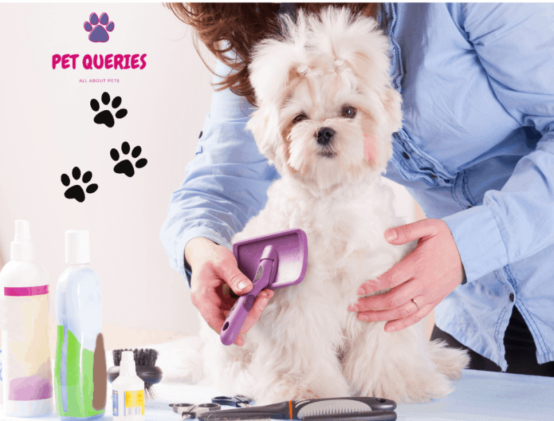Best brush for double coated dogs – Pet Queries